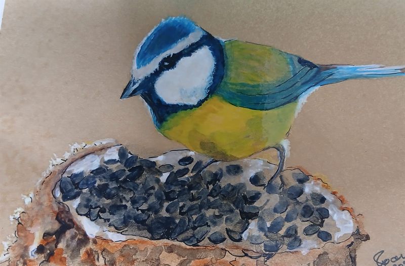 Watercolour of a blue tit perched on a log scattered with seeds