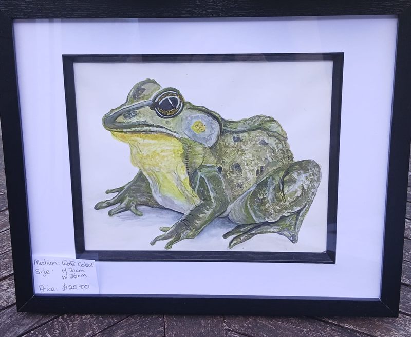 Watercolour of a green frog