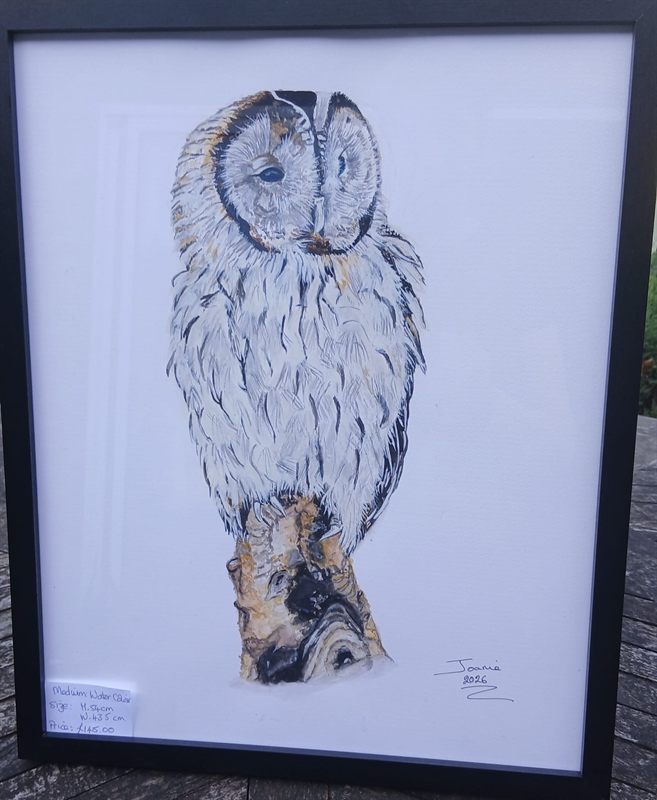 Watercolour of a tawny owl perched on a branch