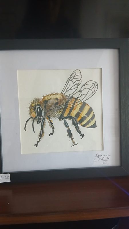 Watercolour and ink study of a honey bee