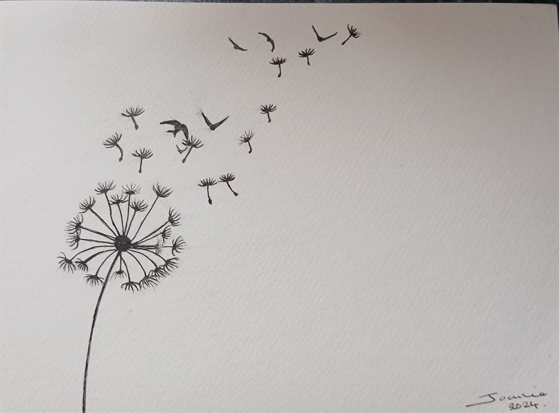 Pen and ink drawing of a dandelion clock, its seeds drifting away as birds