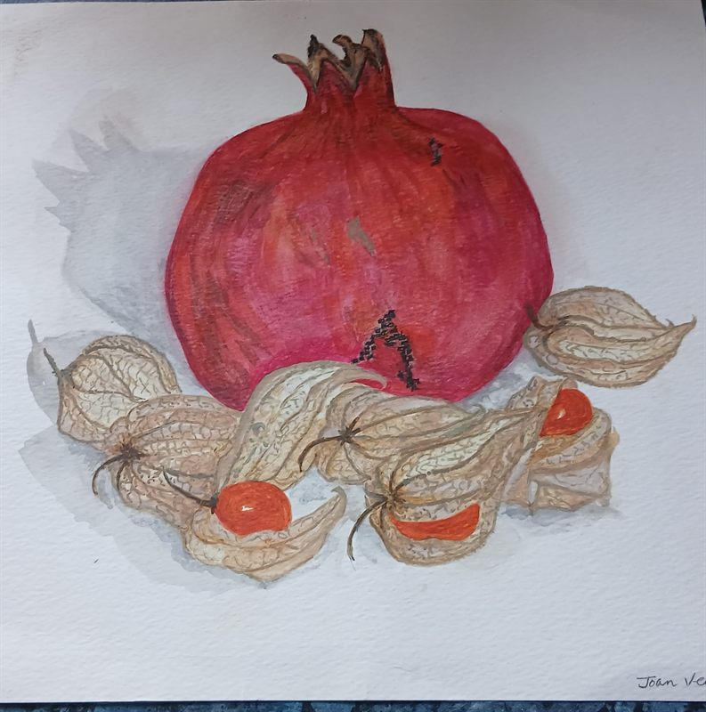 Watercolour still life of a pomegranate with physalis lanterns