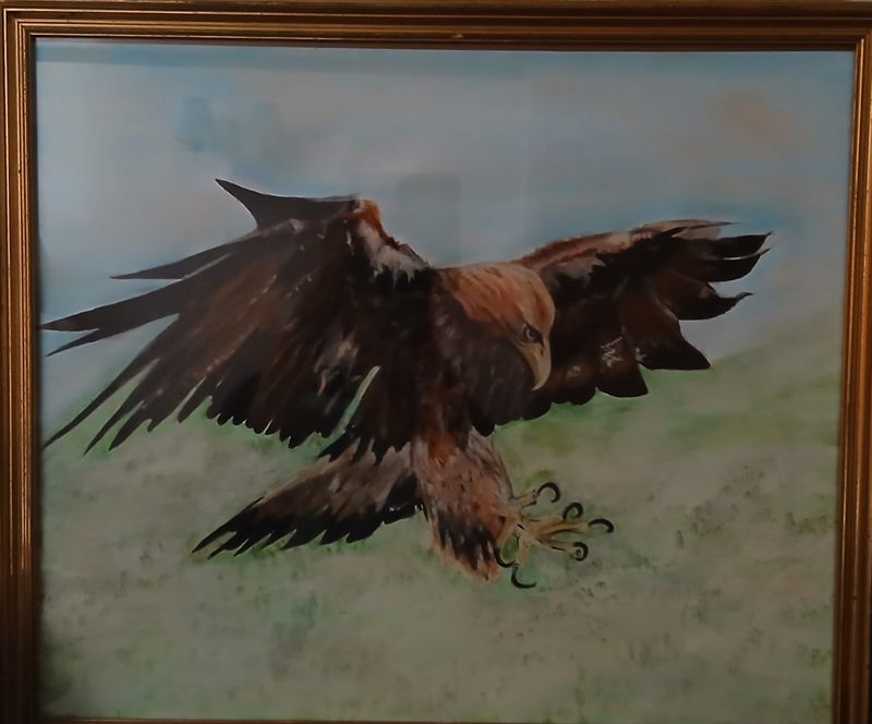 Watercolour of a golden eagle coming in to land