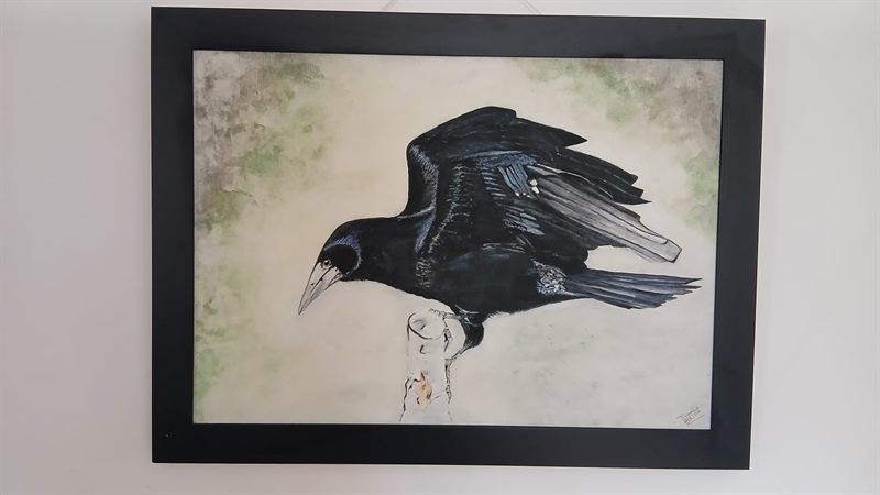 Watercolour of a rook perched on a birch stump