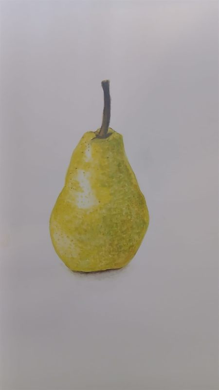 Coloured pencil study of a single pear