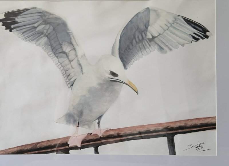 Watercolour of a gull with its wings outstretched on a railing